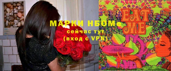 амф Алексин