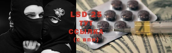 винт Алзамай