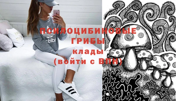 винт Алзамай