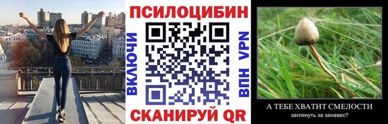 где купить наркоту  блэк спрут ссылки  Галлюциногенные грибы MAGIC MUSHROOMS  Стародуб 
