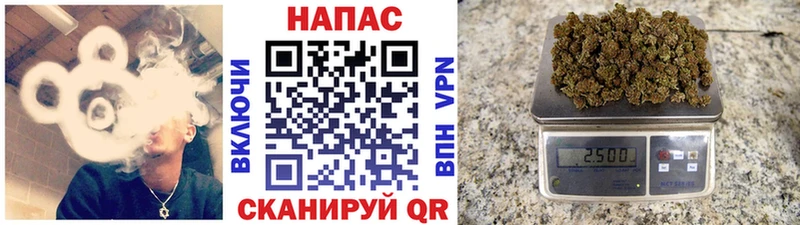 где продают   Стародуб  Канабис индика 
